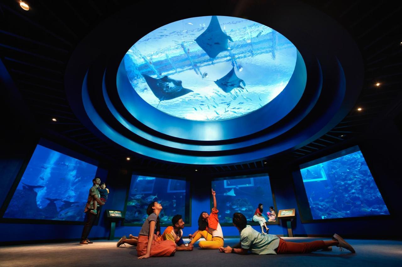 Resorts World Sentosa - Festive Hotel Σιγκαπούρη Εξωτερικό φωτογραφία Open ocean exhibit