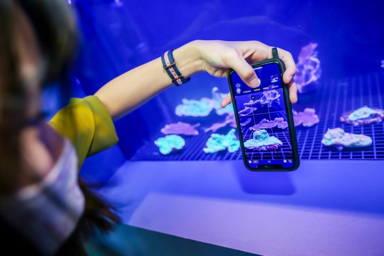 Resorts World Sentosa - Festive Hotel Σιγκαπούρη Εξωτερικό φωτογραφία A visitor takes a photo of the aquarium