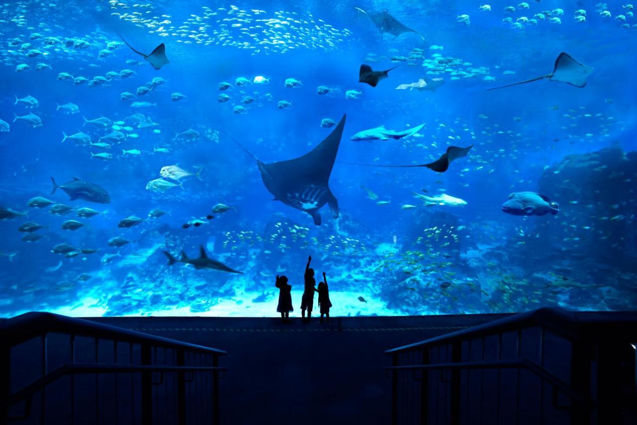Resorts World Sentosa - Festive Hotel Σιγκαπούρη Εξωτερικό φωτογραφία The Lost Chambers Aquarium