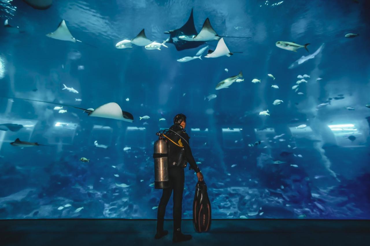 Resorts World Sentosa - Festive Hotel Σιγκαπούρη Εξωτερικό φωτογραφία The Lost Chambers Aquarium
