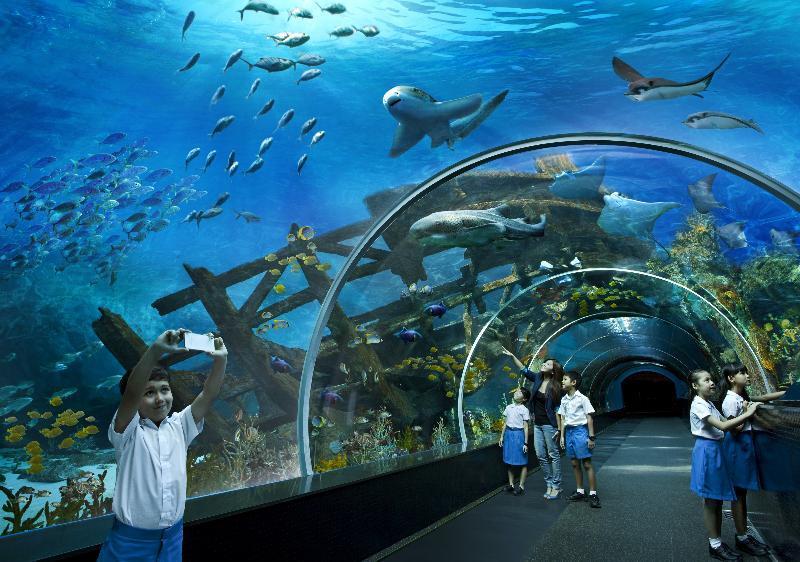 Resorts World Sentosa - Festive Hotel Σιγκαπούρη Εξωτερικό φωτογραφία Sea Life Sydney Aquarium